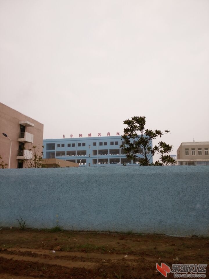 QQ图片20150328110925.jpg