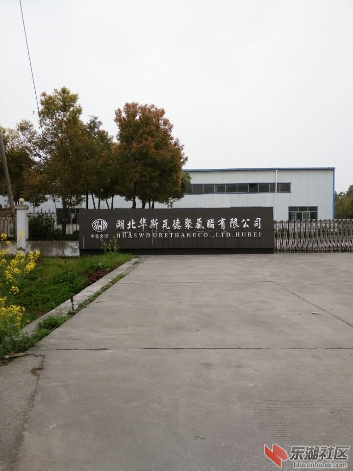 QQ图片20150328110525.jpg