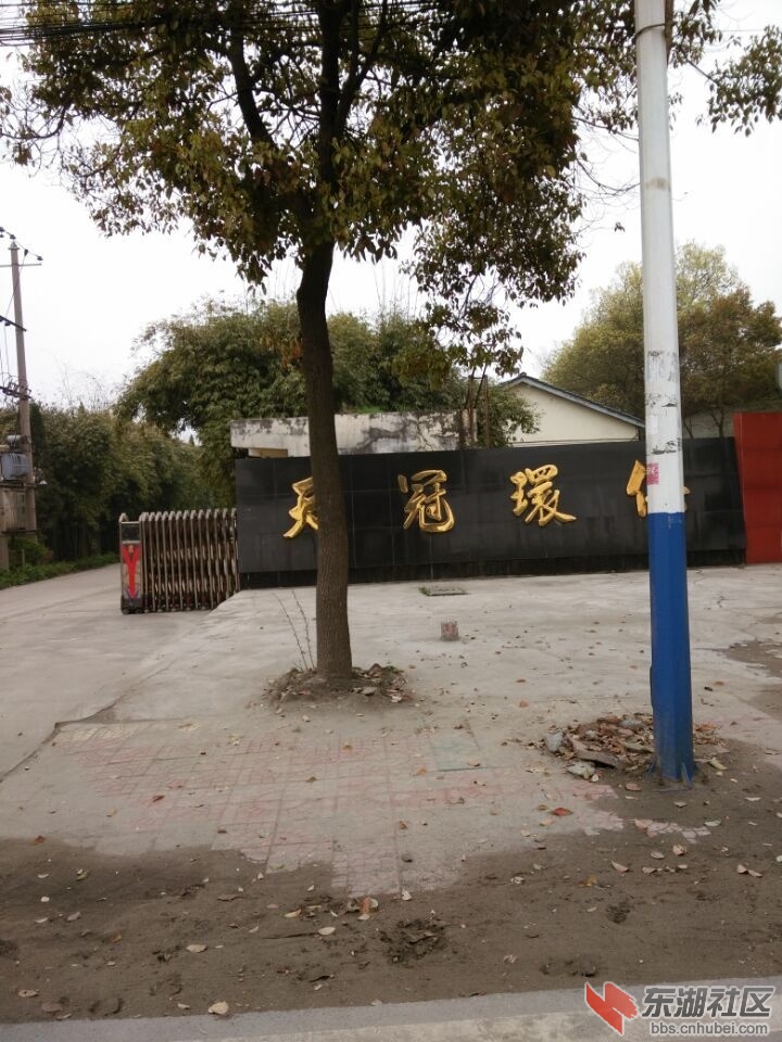 QQ图片20150328110654.jpg
