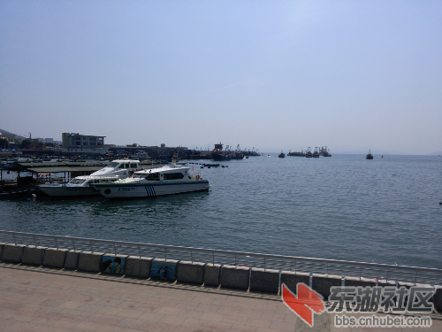 IMG_20150328_140909_586.jpg