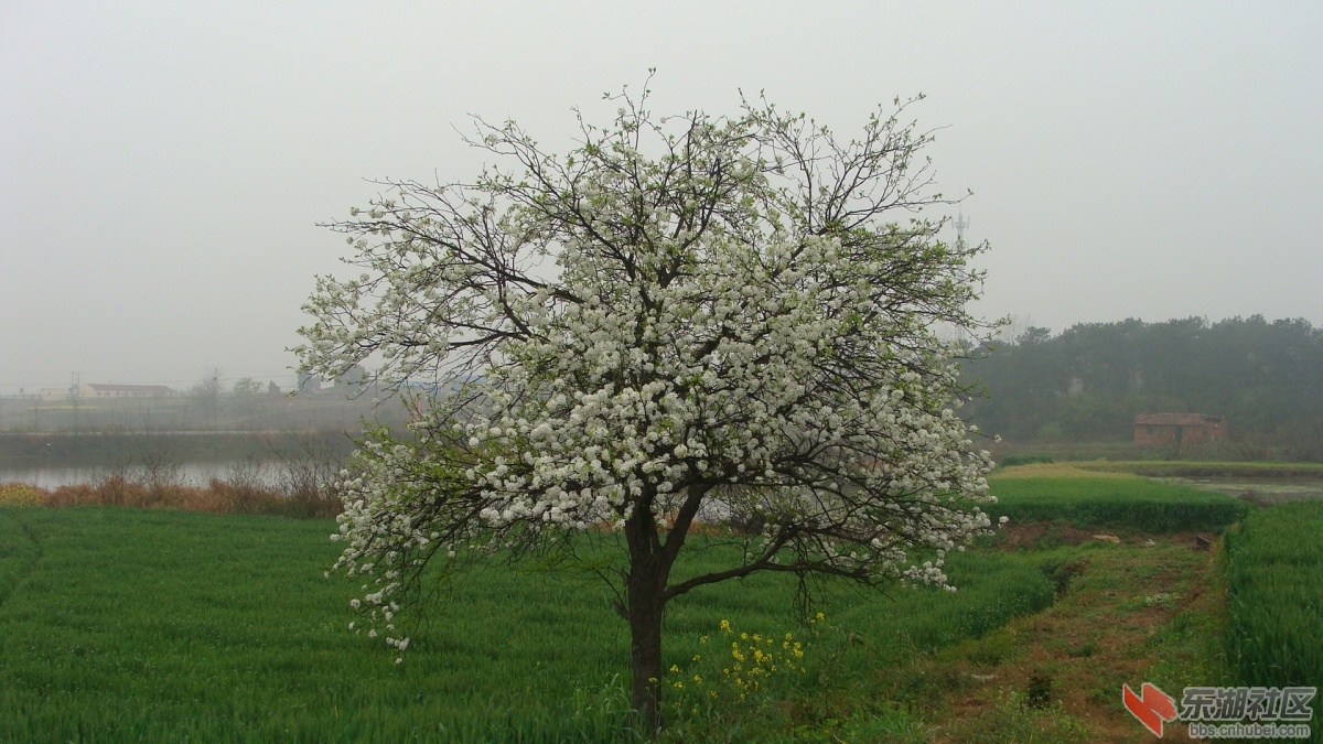 DSC03846.JPG