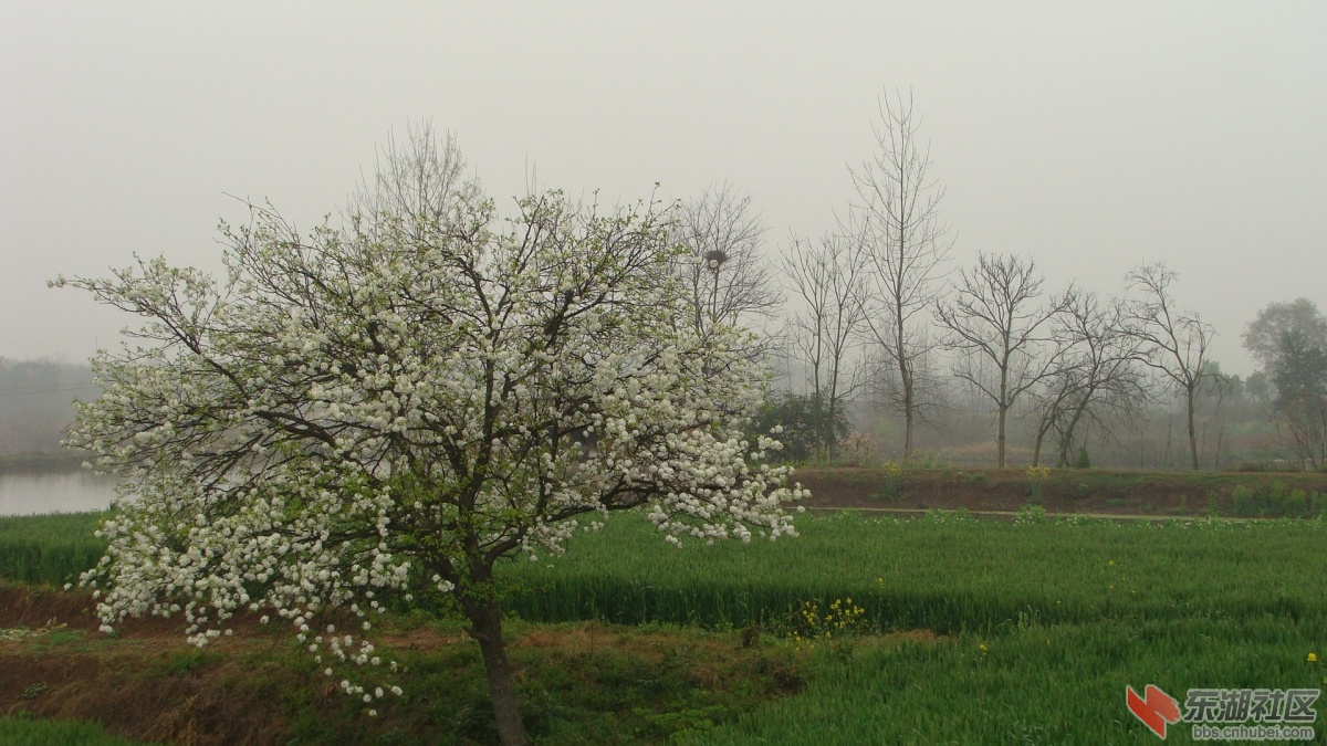 DSC03860.JPG