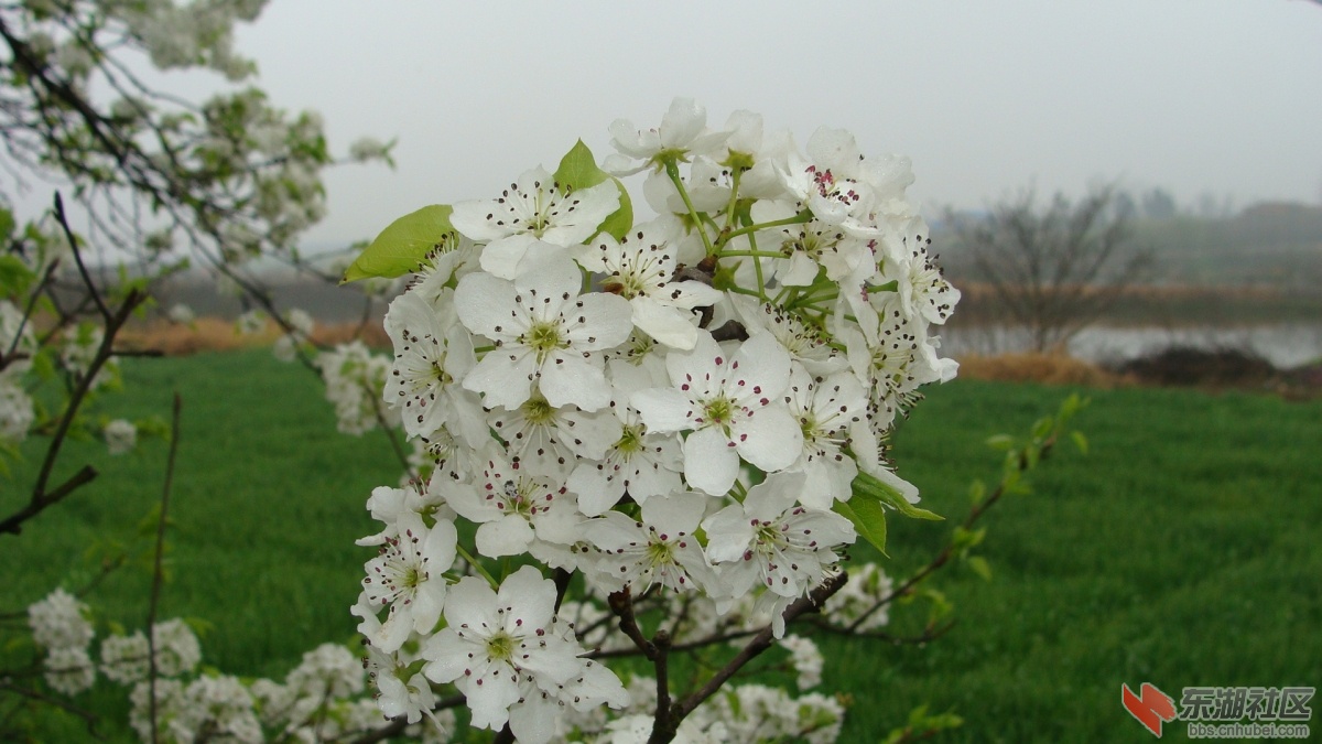 DSC03855.JPG