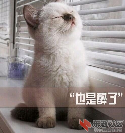 醉了.jpg