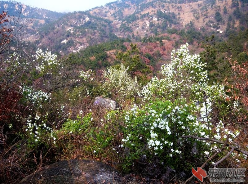 IMG_20150328_104818_副本_副本.jpg