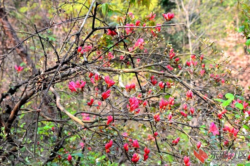 DSC_0035_副本.jpg