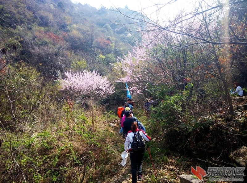 IMG_20150328_120513_副本.jpg