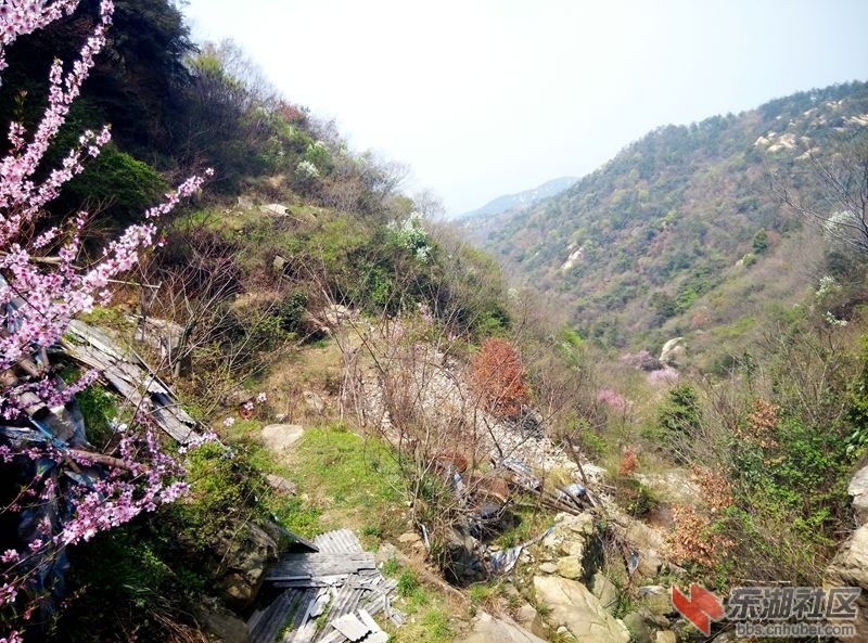IMG_20150328_120426_副本.jpg