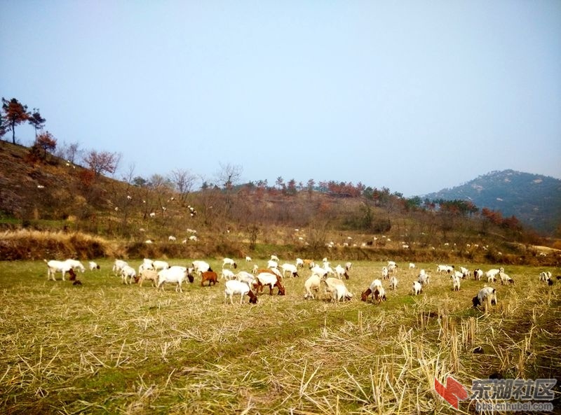 IMG_20150328_143302_副本.jpg