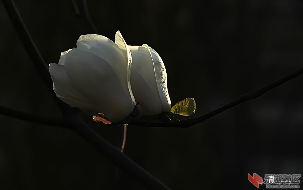 DSC_0126.jpg