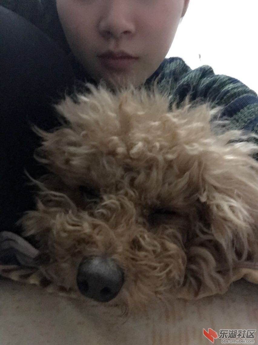QQ图片20150401085813.jpg