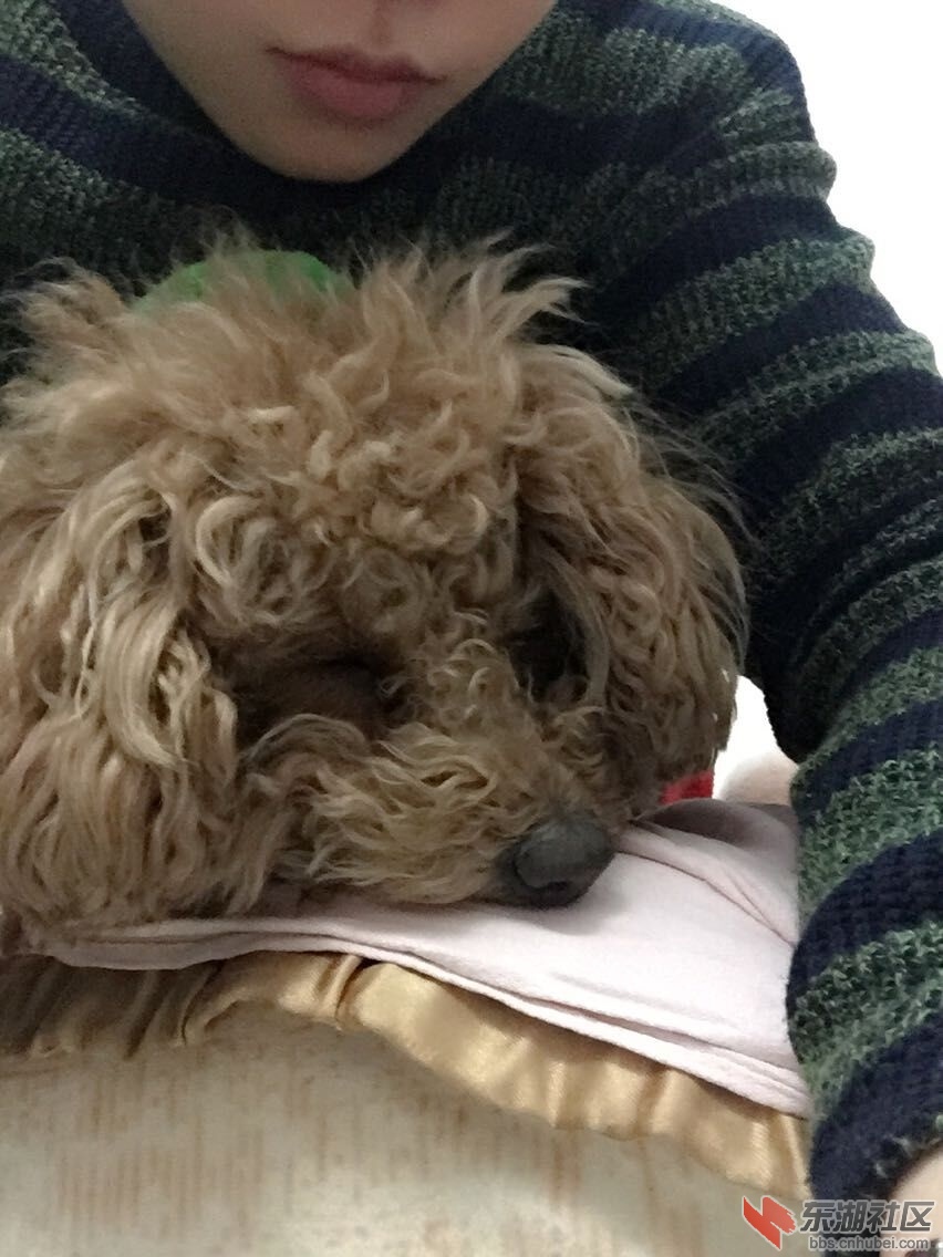 QQ图片20150401085808.jpg