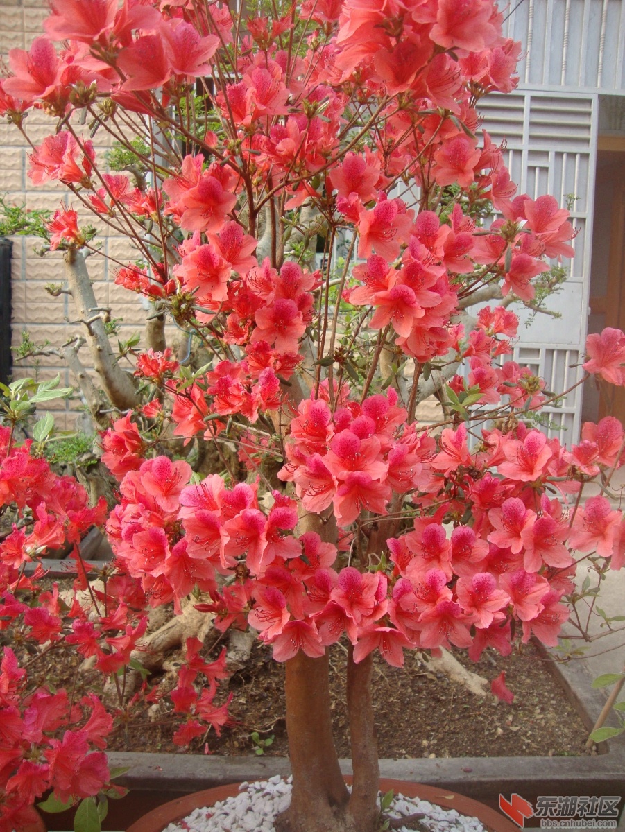 DSC00914_副本2.jpg