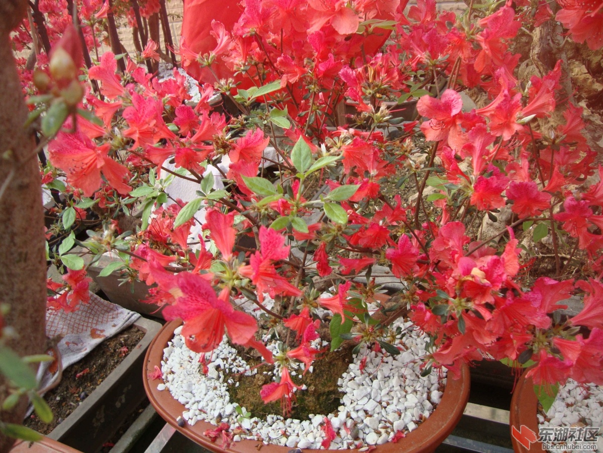 DSC00915_副本2.jpg