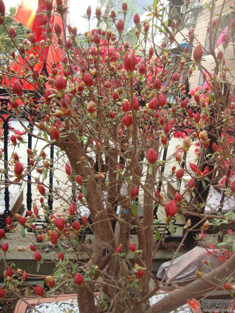 DSC00916_副本2.jpg
