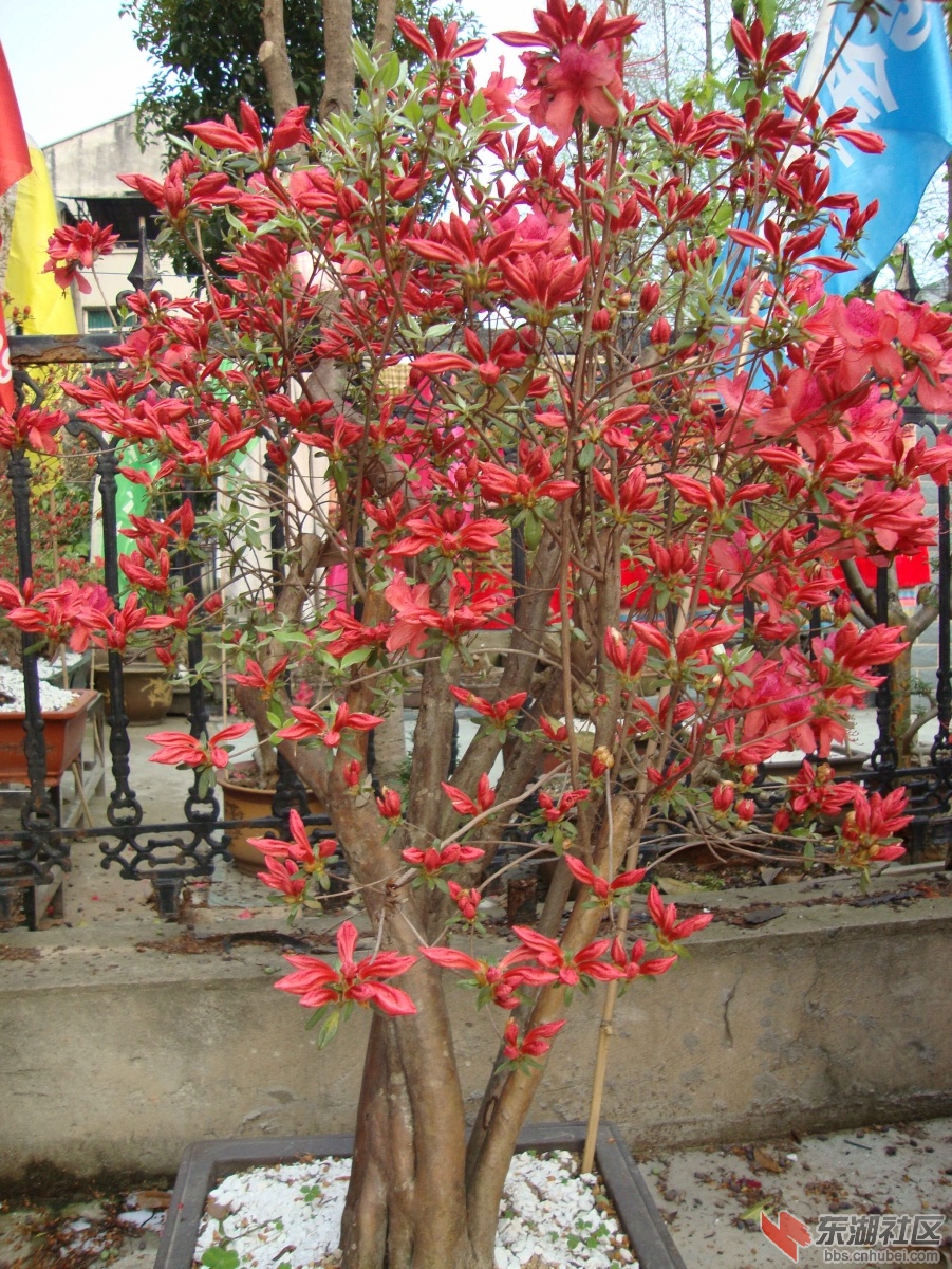DSC00919_副本2.jpg