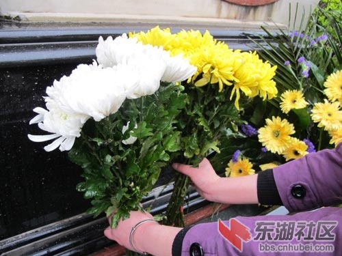 鲜花2.jpg