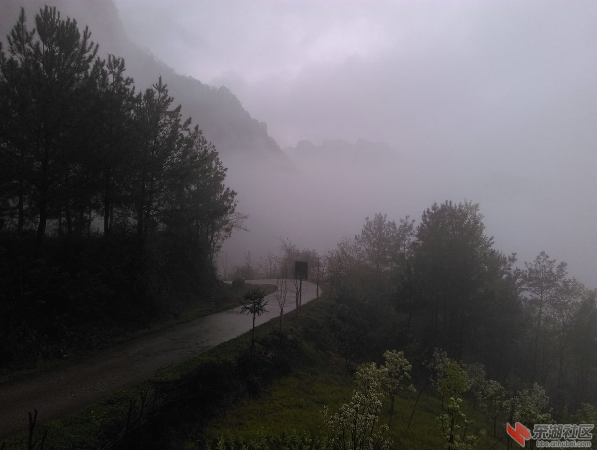 雾茫茫的来路.jpg