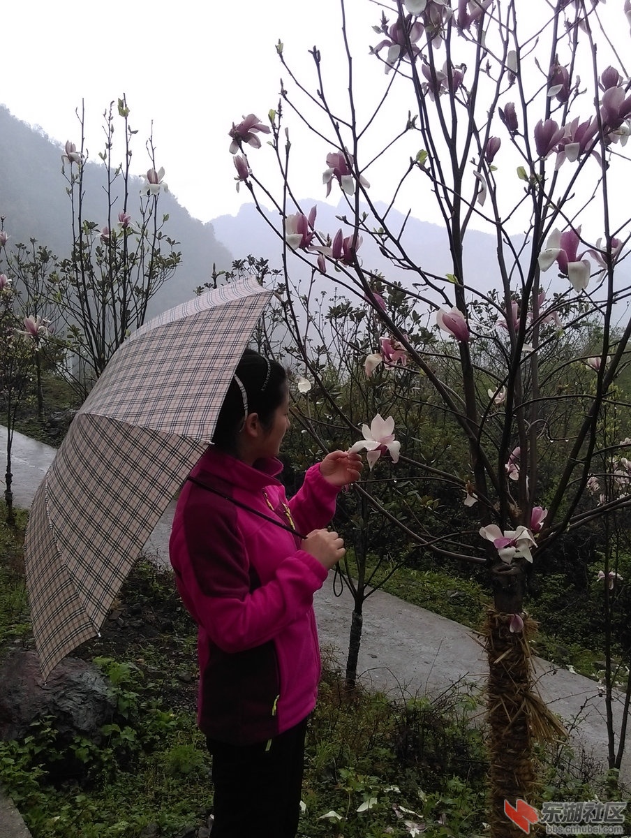 美女赏花-1.jpg