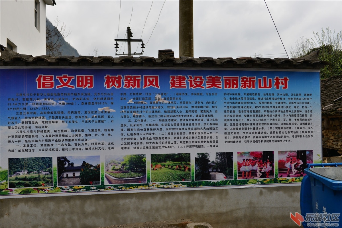 DSC_1785.JPG