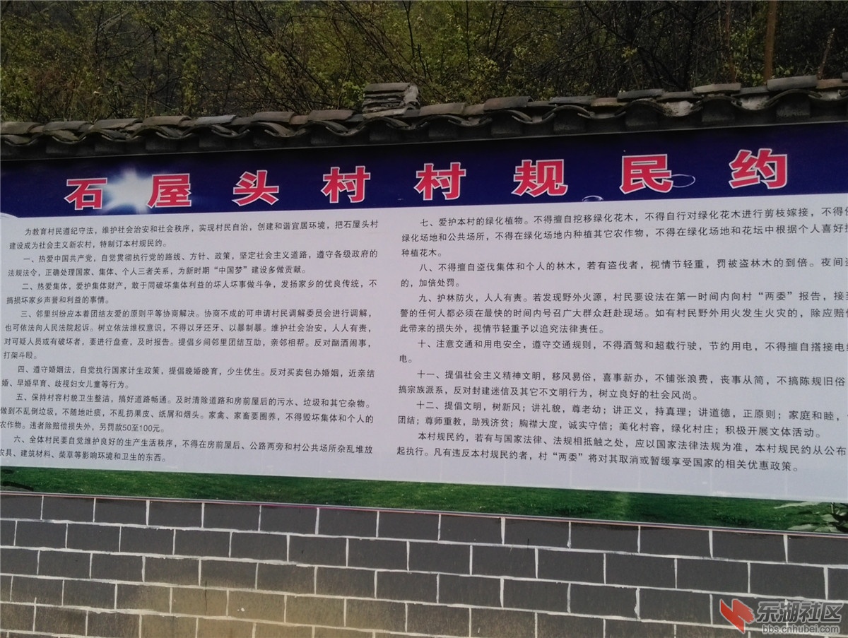 IMAG0873.jpg