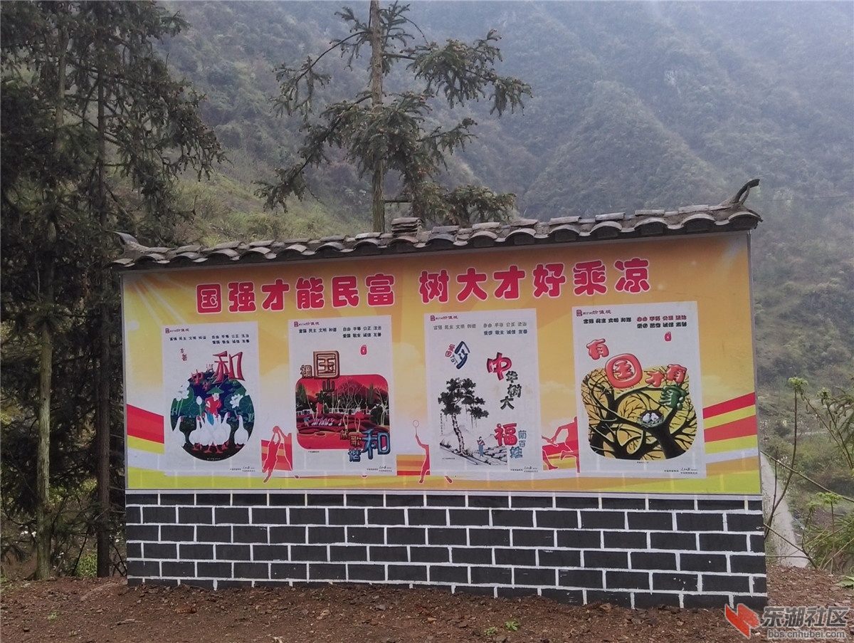IMAG0946.jpg