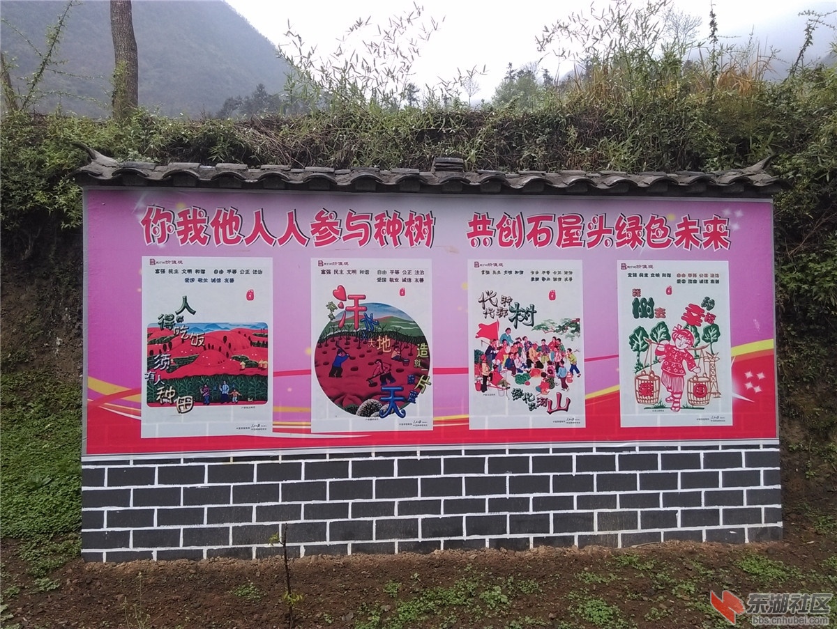 IMAG0953.jpg