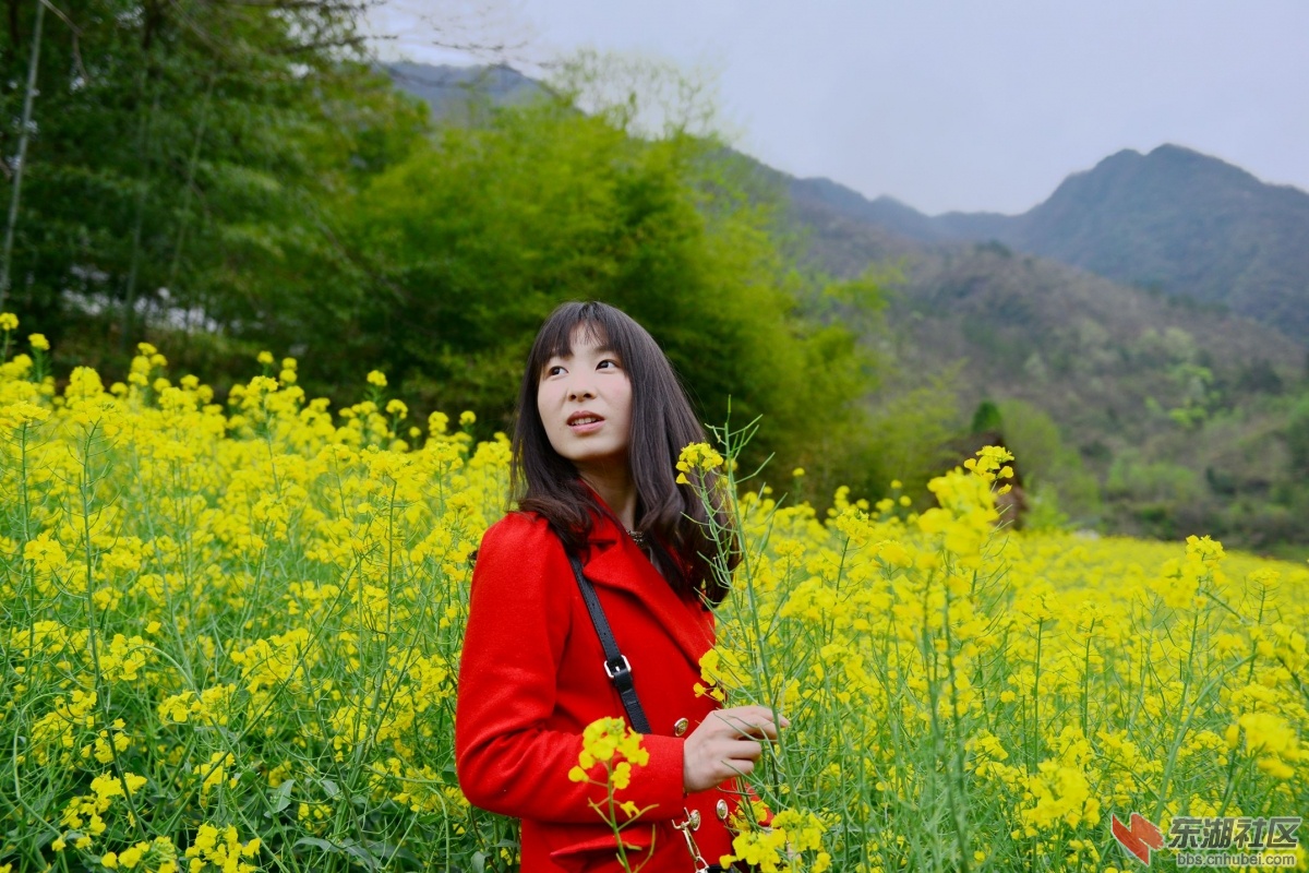 DSC_2019_副本.jpg