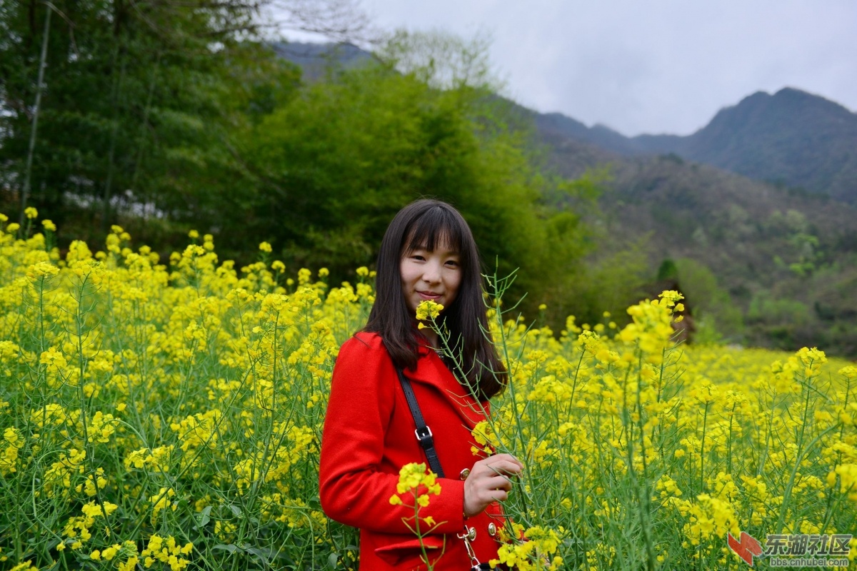 DSC_2020_副本.jpg