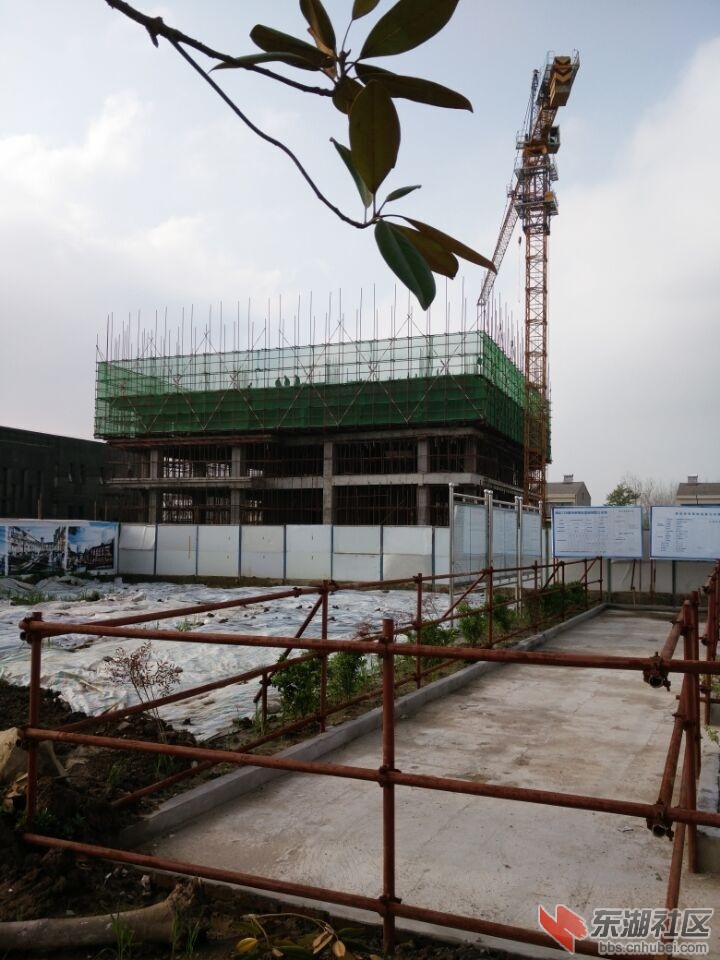 QQ图片20150401152546.jpg