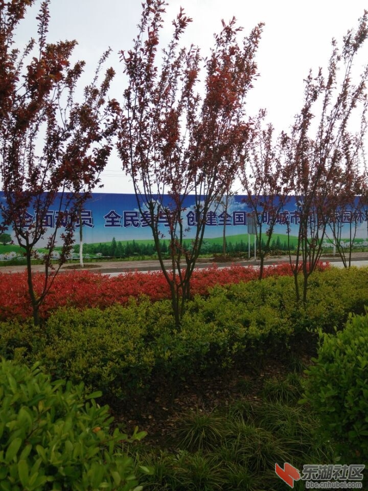 QQ图片20150401152527.jpg