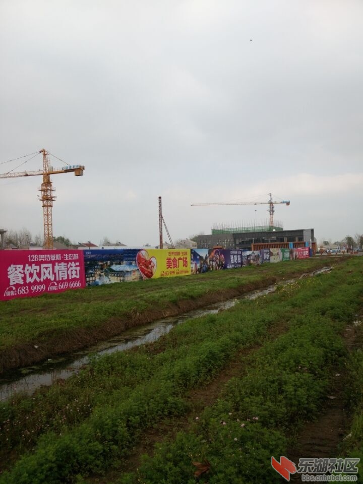 QQ图片20150401152514.jpg