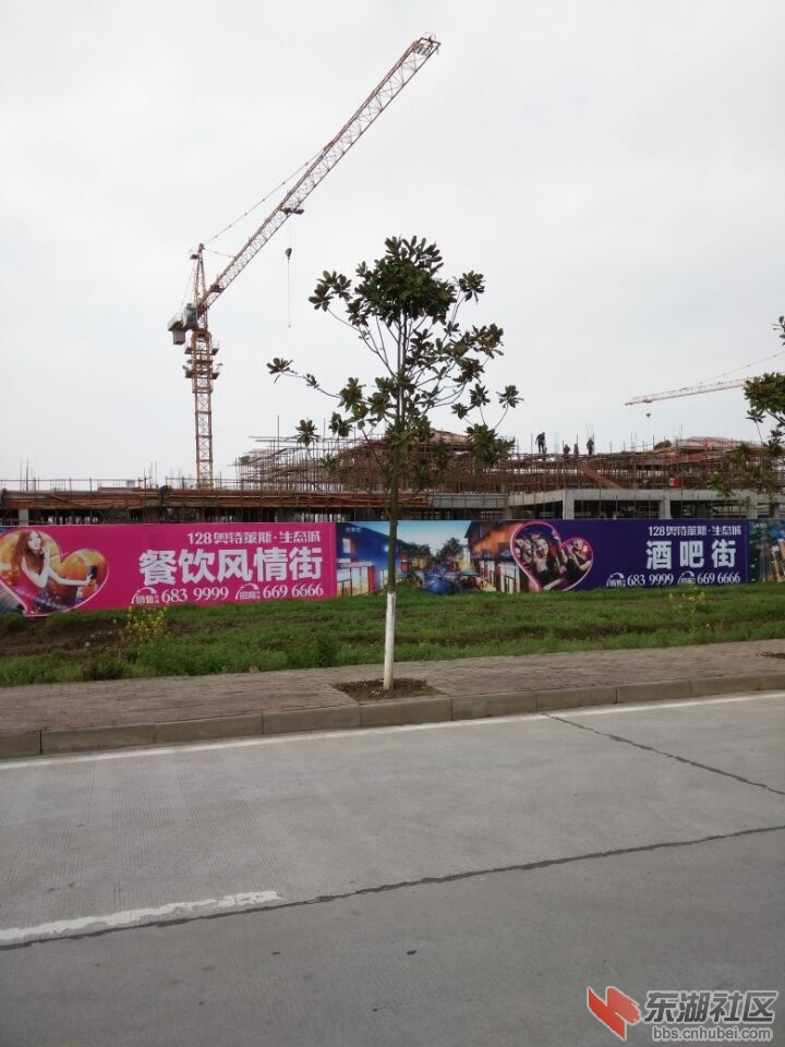QQ图片20150401152500.jpg