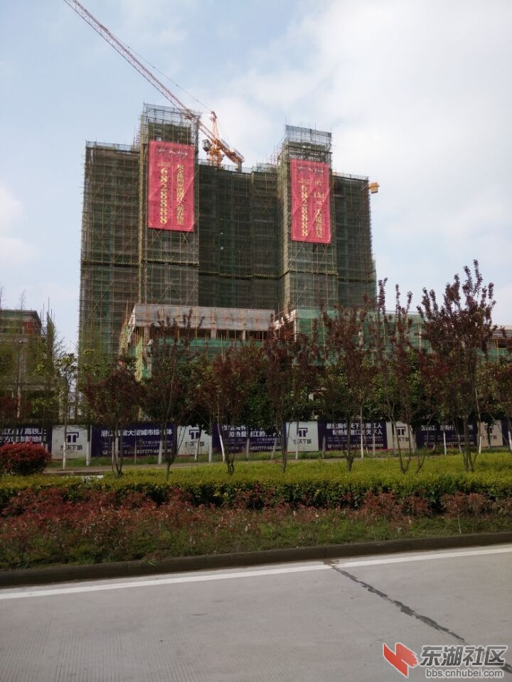 QQ图片20150401152454.jpg