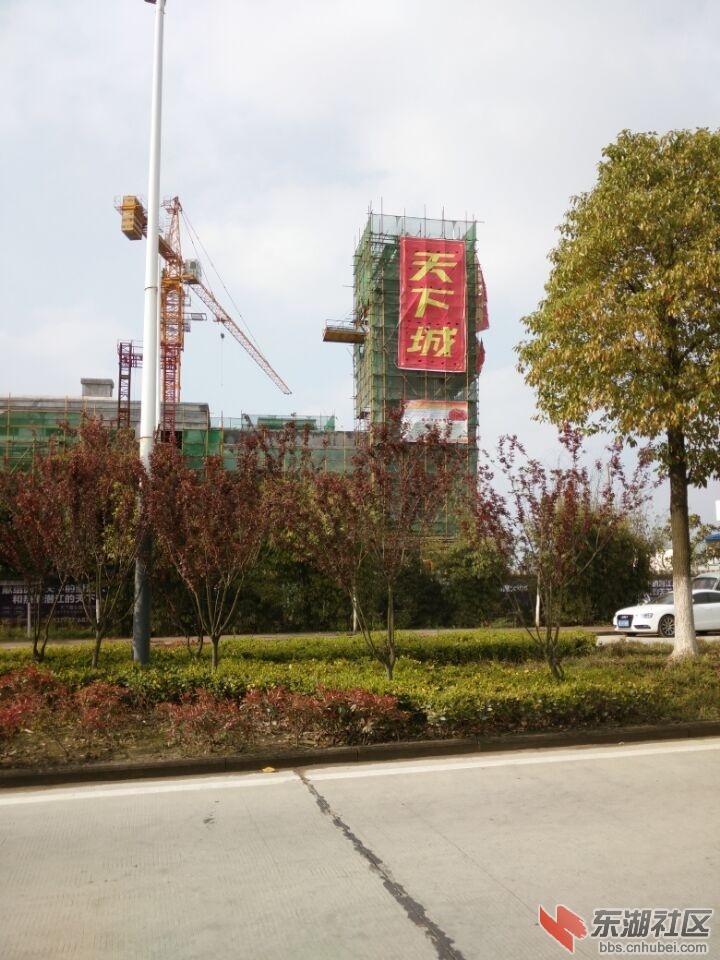 QQ图片20150401152450.jpg