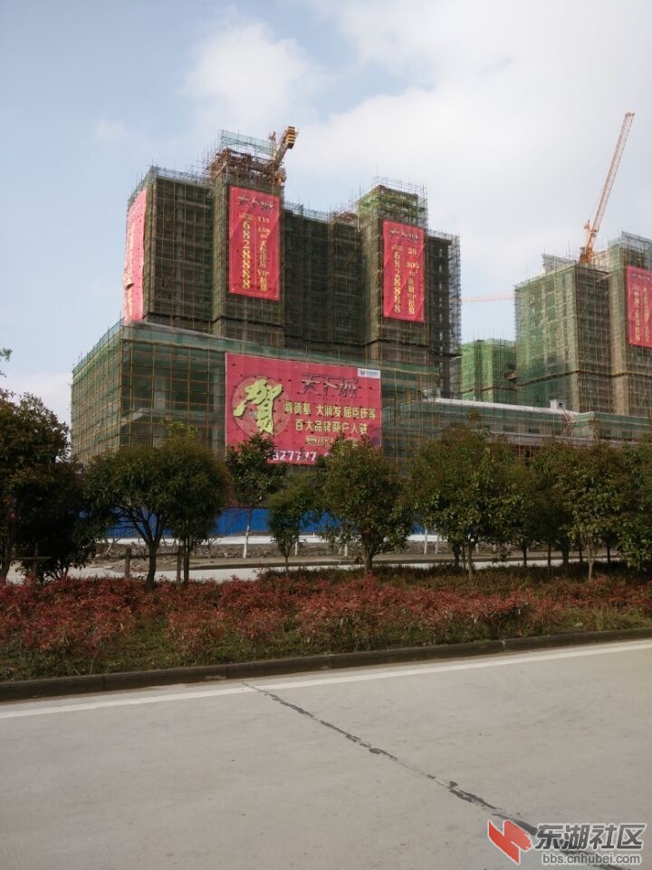 QQ图片20150401152438.jpg