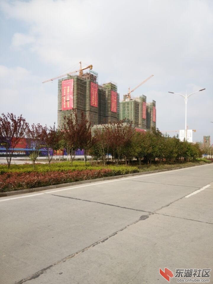 QQ图片20150401152444.jpg