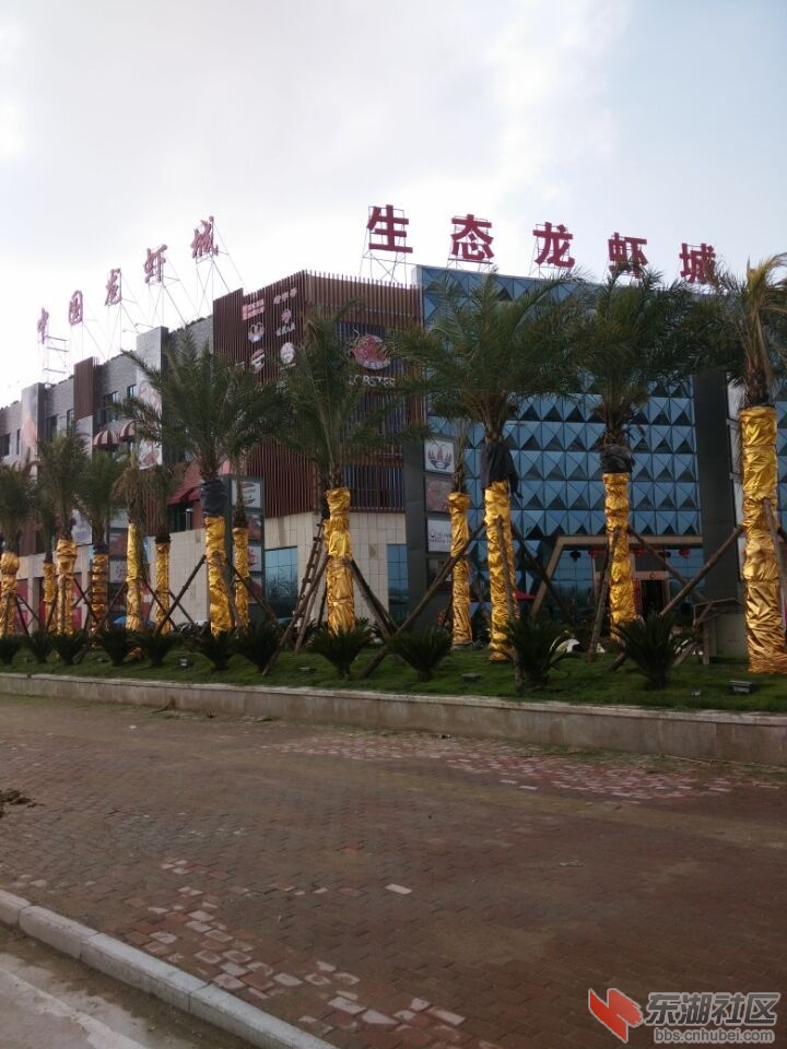 QQ图片20150401152347.jpg