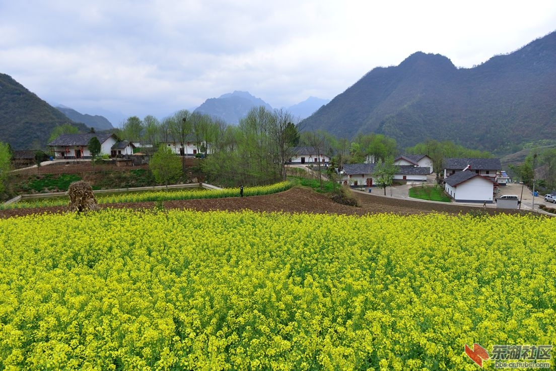 DSC_2075_副本.jpg