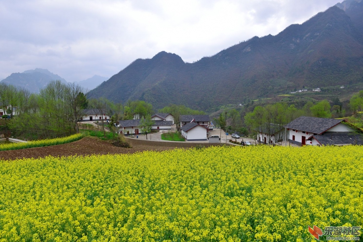 DSC_2077_副本.jpg