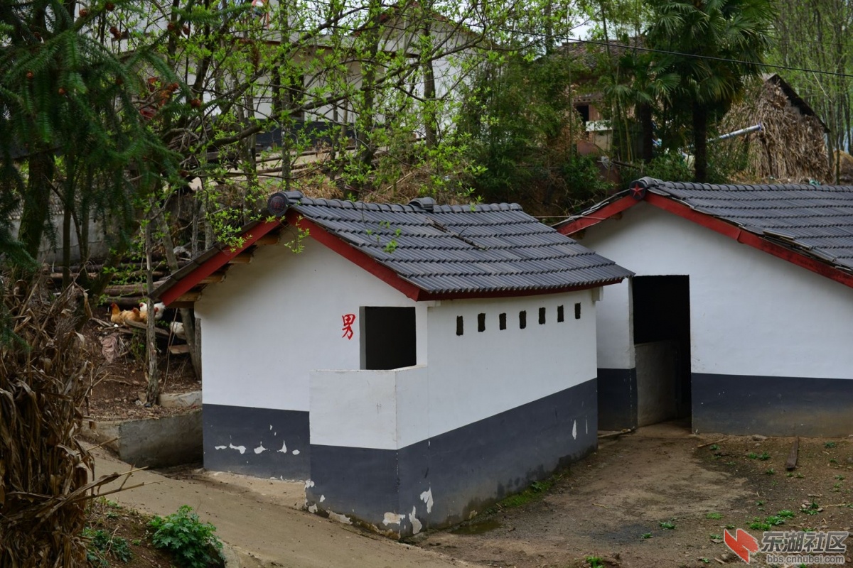 DSC_2112_副本.jpg