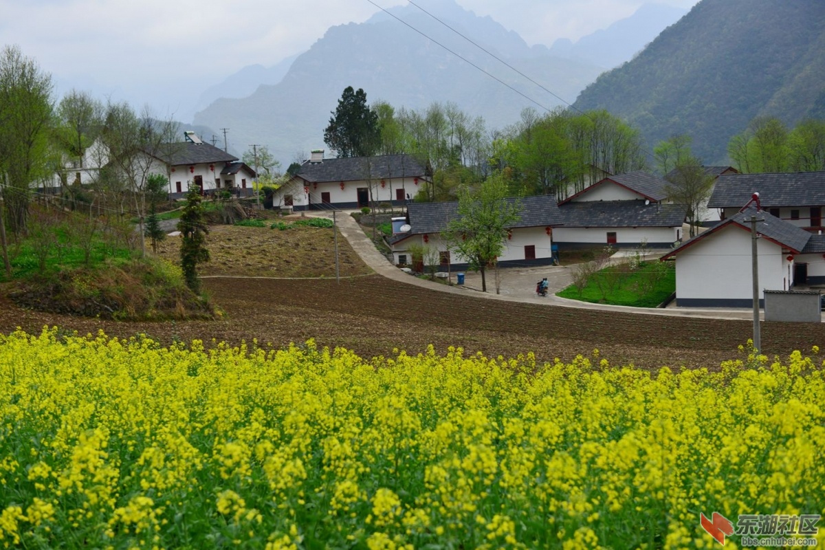 DSC_2096_副本.jpg
