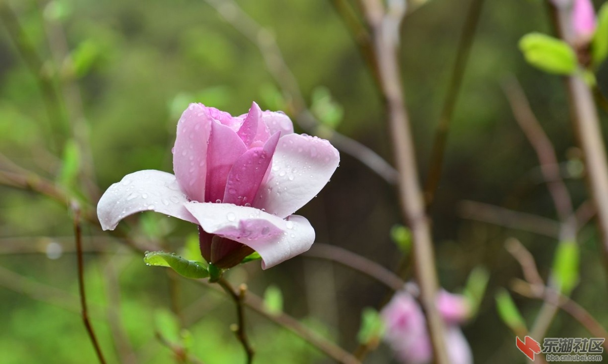 DSC_1651_副本.jpg
