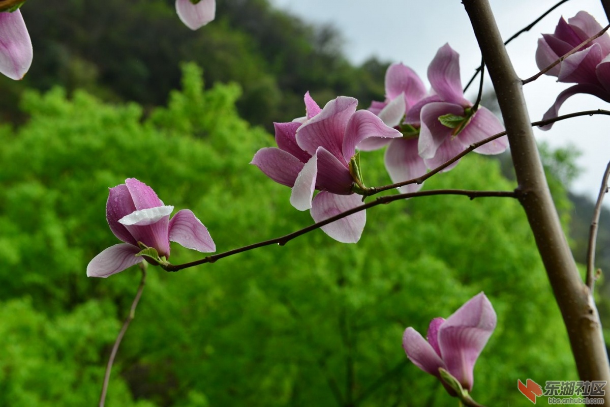 DSC_1654_副本.jpg