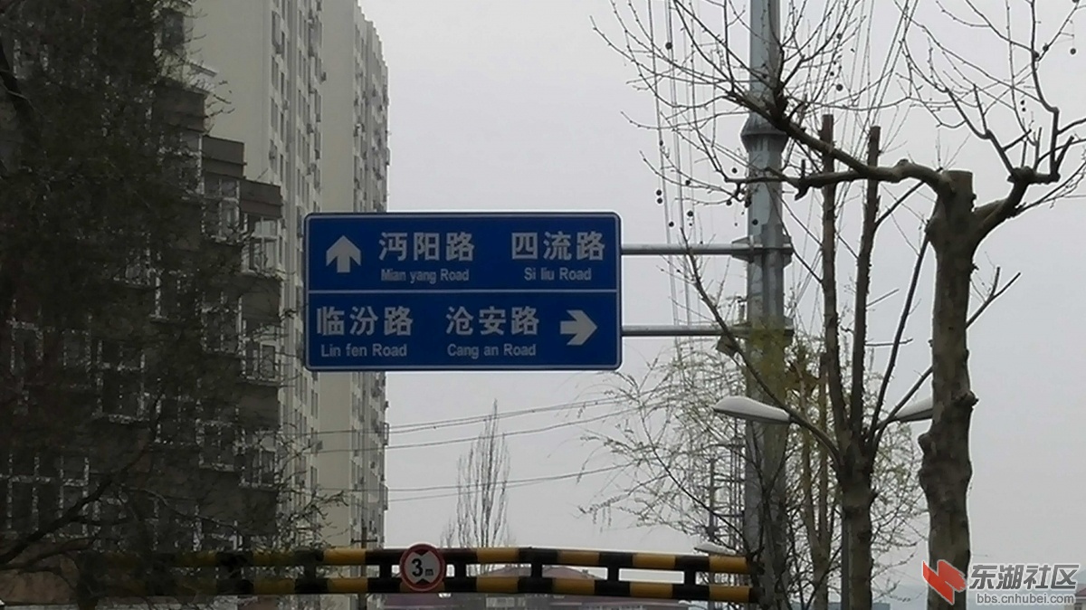 IMG_20150401_133724.jpg