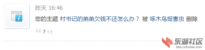 啄木鸟.png