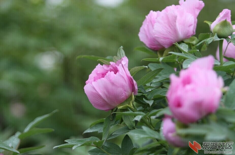 QQ图片20150408095656.jpg
