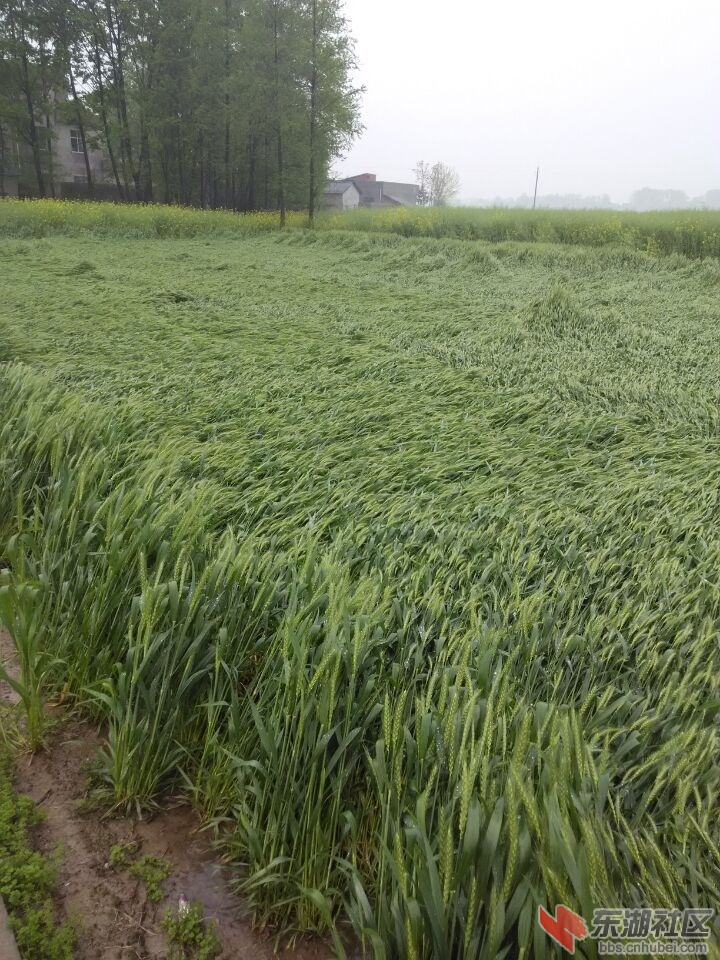 QQ图片20150408111924.jpg