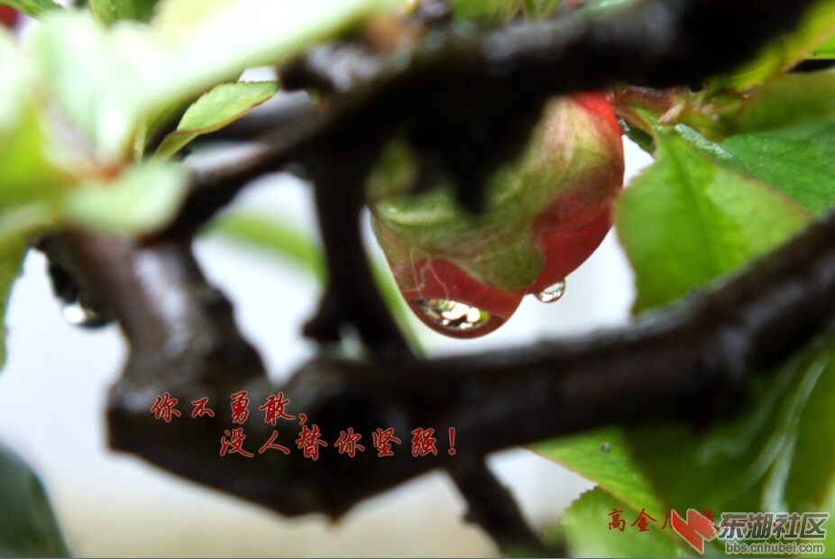 20150408201050.jpg