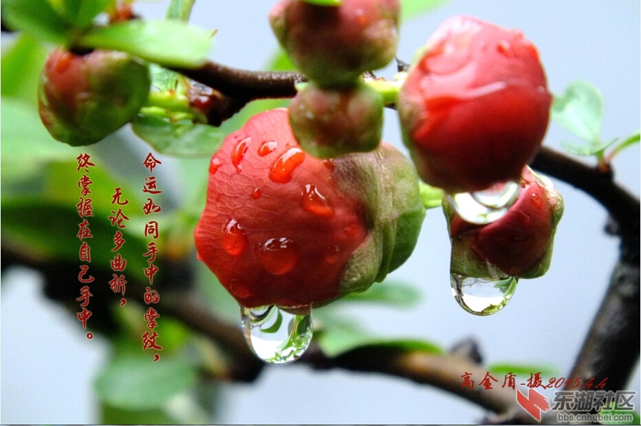 20150408201340.jpg